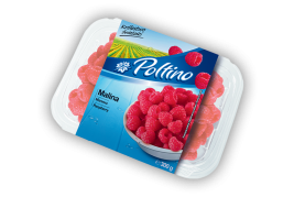 “Poltino” raspberry